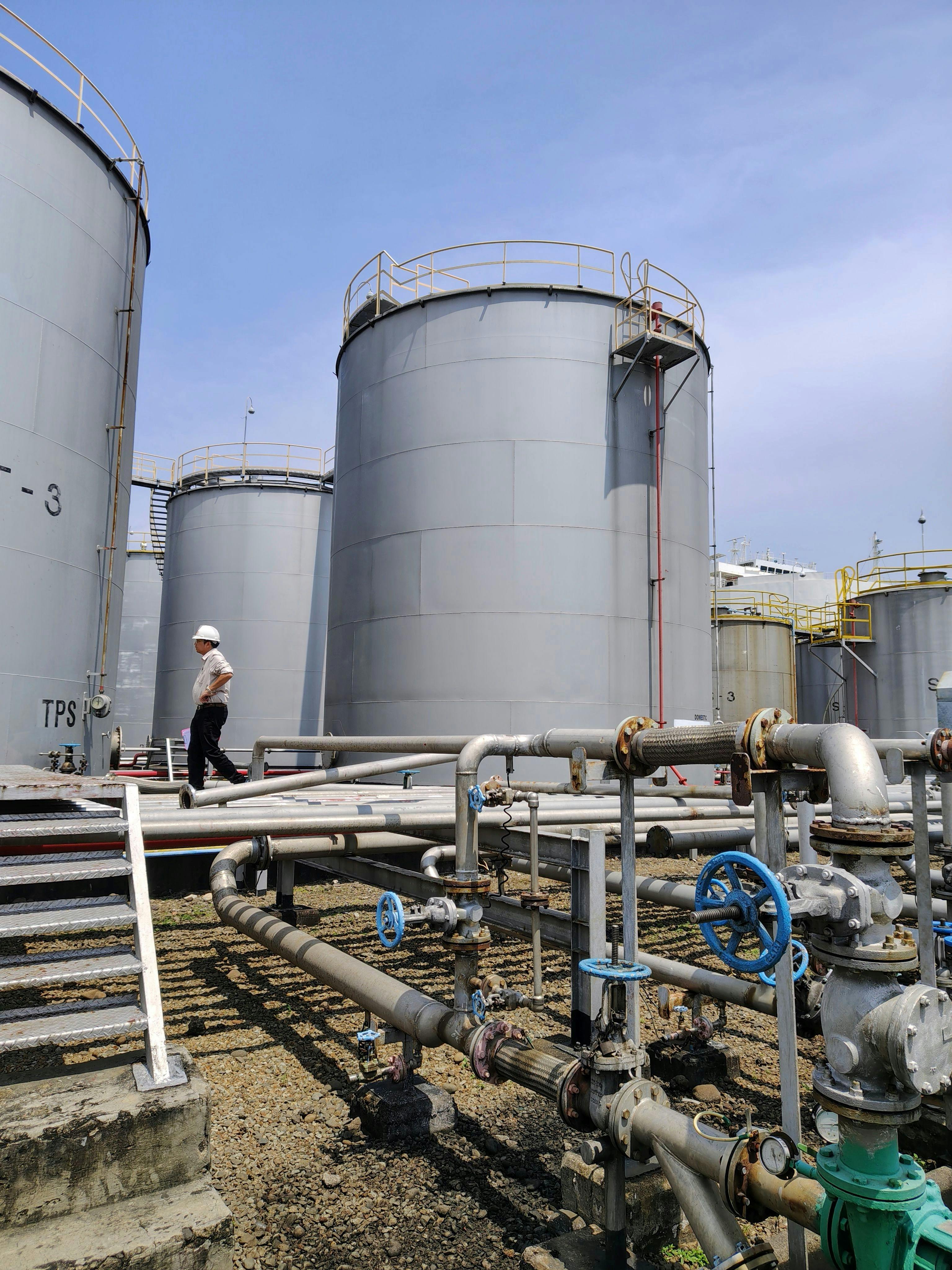 Tender & Proposal Advisory